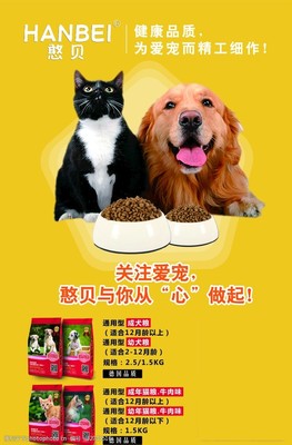 金毛犬的饮食魅力 宠物食品中的健康之道