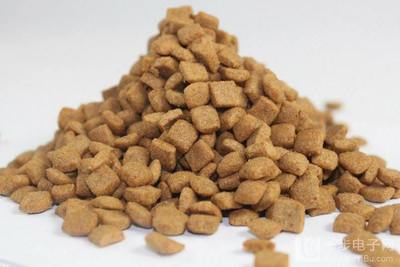 宠物食品烘干机的全面指南 从选购到用途解析